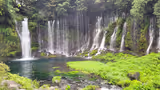 Mt. Fuji & Lake Kawaguchi: 1 day Private tour with local guide - 1