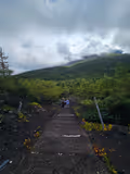 Mt Fuji & Lake Kawaguchi : Private Half Day Tour with Local Guide - 1