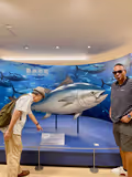 Food Tour of Toyosu Fish Market - 1