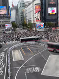 Efficient One Day Tokyo Tour - 3
