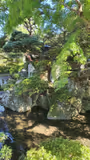 A Full Day In Kyoto: Food, Geishas, Temples - 4