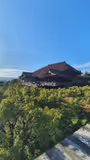 A Full Day In Kyoto: Food, Geishas, Temples - 2