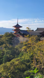 A Full Day In Kyoto: Food, Geishas, Temples - 3