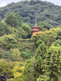 Fully customizable private half day tour in Kyoto - 1