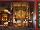 Tokyo Six Hour Tour Customized for You - 2