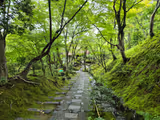 My Favorite Golden Route: Kyoto One-day Tour - 3