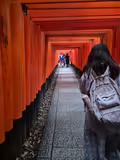 My Favorite Golden Route: Kyoto One-day Tour - 4