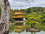 My Favorite Golden Route: Kyoto One-day Tour - 1