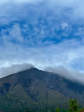 Kagoshima half day tour 鹿兒島半日遊（Japanese garden & Shiroyama Observatory） - 2