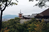 Ein unvergesslicher Tag in Kyoto (6h) - 2