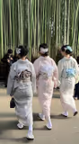 Timeless Kyoto: A Day of Walking and Wonder - 2