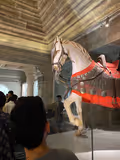Udaipur City Private Guided Tour - 3
