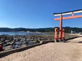 Aoshima and Nichinan Coast half-day tour - 3