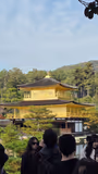 Comfortable Kyoto Van Tour (4–7 Guests): See All the Must-Sees, Hassle-Free - 3