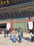 Gyeongbokgung,Bukchon,Gwangjang,N-SeoulTower,Hongdae - 1