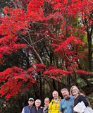 Kyoto, Arashiyama Expedition Walking Tour - 1