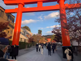 Kyoto Golden Route (Nijo Arashiyama Kinkakuji Fushimi Inari) - 2