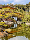 Kyoto's must-see attractions and World Heritage sites in one day. - 2