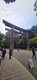 Must-see in Tokyo: Tsukiji, Meiji Jingu, Shibuya Crossing - 2