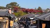 Comfortable Kyoto Van Tour (4–7 Guests): See All the Must-Sees, Hassle-Free - 2