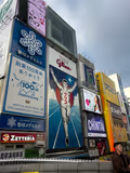 Highlights of Osaka-Dotonbori, Shinsekai, Umeda and Osaka Castle - 3