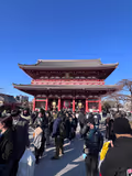 Tokyo half day tour for 1st time visitor - 1