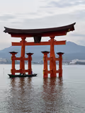 Memories of Hiroshima : Miyajima & Peace Park Tour with some secret photo spots - 2