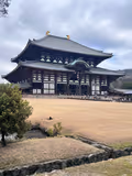Let's enjoy walking around the ancient city called Heijyokyo or Nara established in 710. - 1