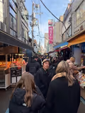 Tokyo Highlights Half-Day Tour: Tsukiji, Gyoen, and Kabukicho - 1