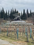 Premium Wine Tour-Three Top Wineries In One Day - 4