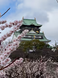 Highlights of Osaka-Dotonbori, Shinsekai, Umeda and Osaka Castle - 2