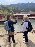 Memories of Hiroshima : Miyajima & Peace Park Tour with some secret photo spots - 1