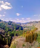 The Nichinan Coast: Aoshima, Udo, and Obi (full day by car) - 3