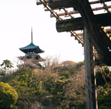 Yokohama Seaside Highlights: Private Walking Tour - 1