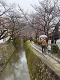 Kyoto Philosophical Tour (Silver Route) - 2