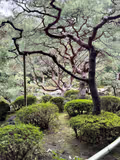 Less visited Zen temples and Zen gardens in Kyoto - 1