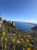 Eze & Saint Paul de Vence + wine tasting - 8hrs Full Day Private Tour - 1