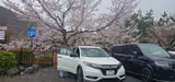 Kyoto Early Bird Highlights with Car Service - 1