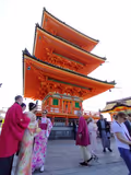 [Kyoto] 6-Hour Tour with a Private Car - by Van (9 pax) - 3