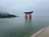 Memories of Hiroshima : Miyajima & Peace Park Tour with some secret photo spots - 1