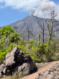 Kagoshima Highlights tour (one day) 　鹿兒島/鹿儿岛一天遊（櫻島活火山，仙巌園，購物） - 2