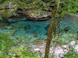 Explore Niyodo Blue: Japan’s Most Beautiful River with Licensed Local Guide & Premium Minivan - 2
