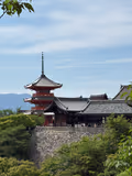 Kyoto Highlights-Full day Kyoto tour with a cultural property management expert - 1