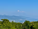 Shimizu Highlights Half-Day Tour - 3