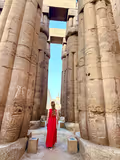● Private Tour In Karnak and Luxor Temple - 1