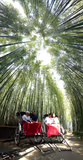 A tour that combines the best of three cities' castles and shrines - 1