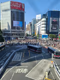 Tokyo highlights: templi, santuari e strade vibranti - 2