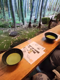 Highlights of Kamakura - 4