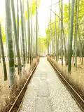 Highlights of Kamakura - 2