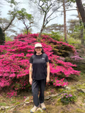 Kirishima: Ikoma Plateau and the Ebino Volcanic Area - 1